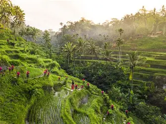 Tegallalang